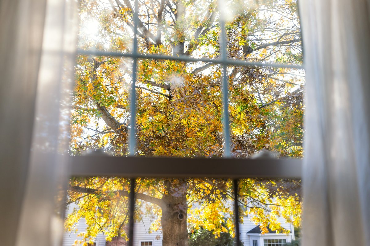 Laden Sie den Herbst in Ihr Haus ein, oder wie Sie die Fenster dekorieren